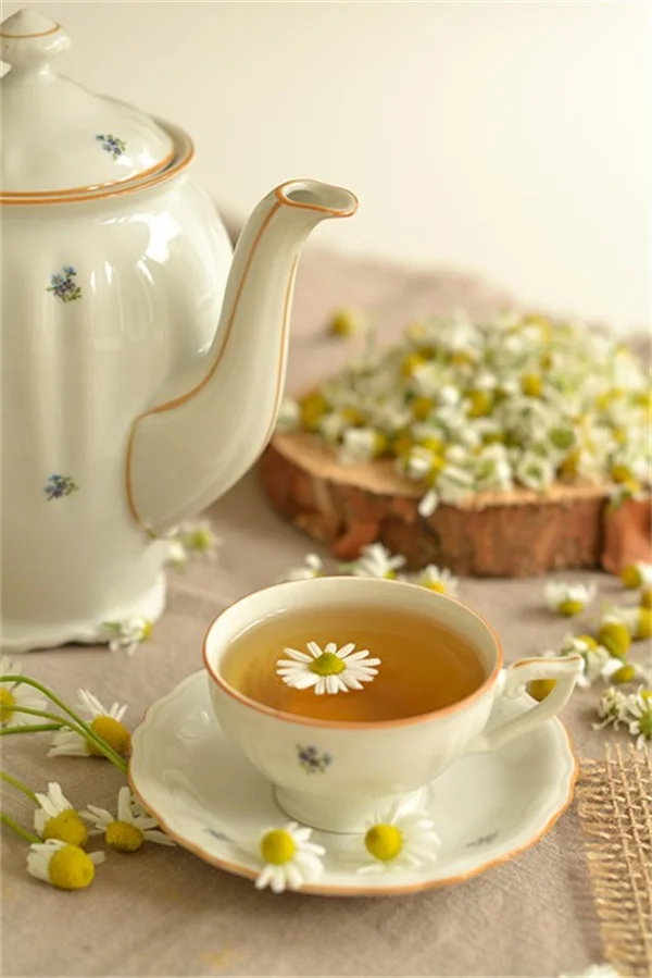 Boost Your Brain Health with These 5 Must-Try Teas!