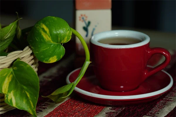 Unlock Your Brain's Potential: 7 Reasons DHA is Essential for Brain Health