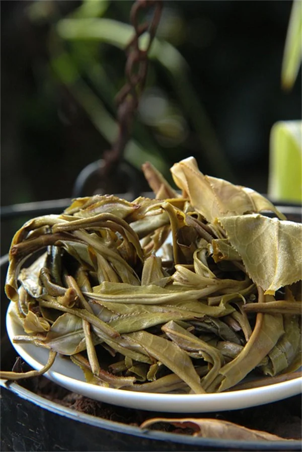 Unlock Brain Health: 5 Simple Ways to Use Rosemary for a Sharper Mind