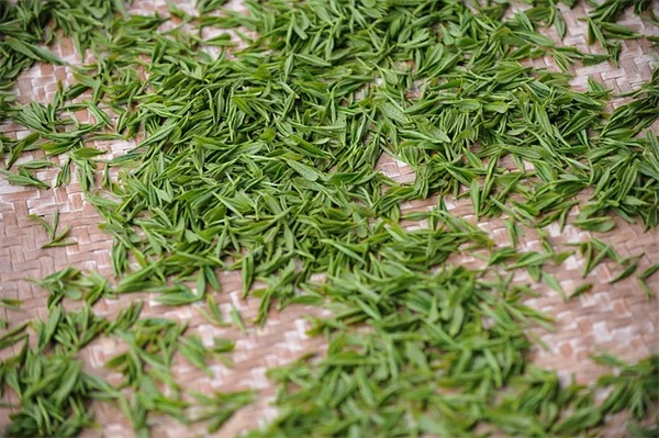 Brain Health Nutrition: 7 Superfoods to Boost Your Mind Power!