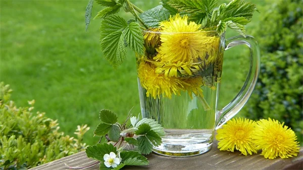 Unlock Your Brain's Potential: 5 Must-Try Herbs for Brain Health