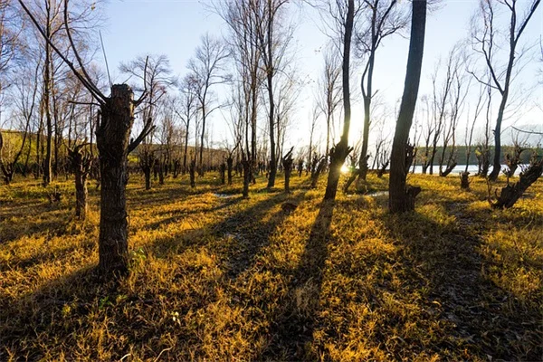 Mouth Taping for Sleep: Why Doctors Warn Against This TikTok Trend